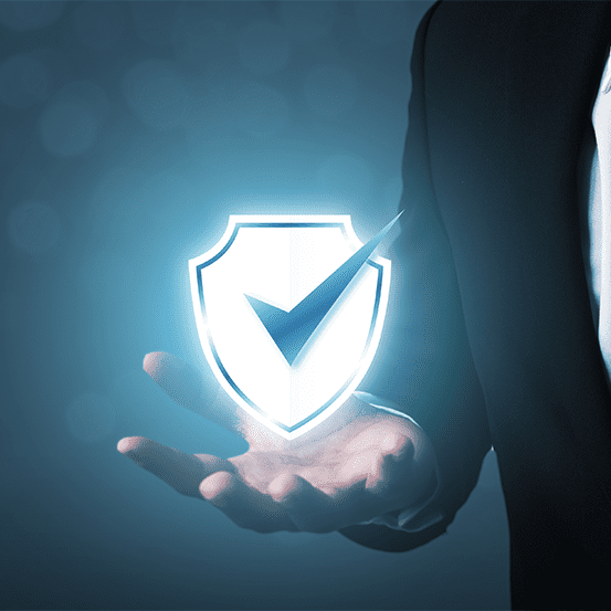 trueguard security about