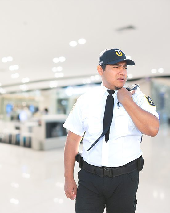 Shopping Center Security
