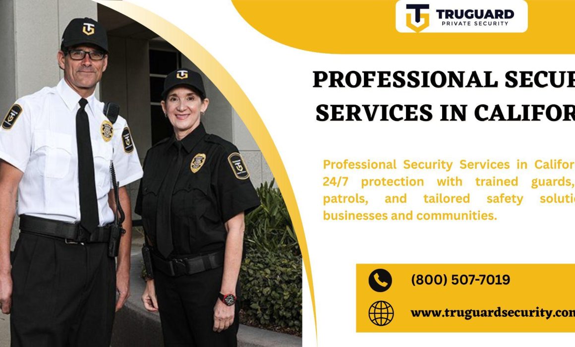 Professional Security Services