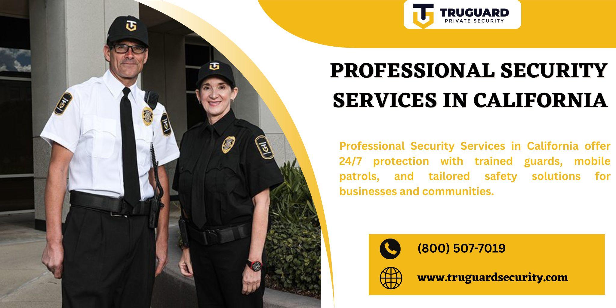 Professional Security Services